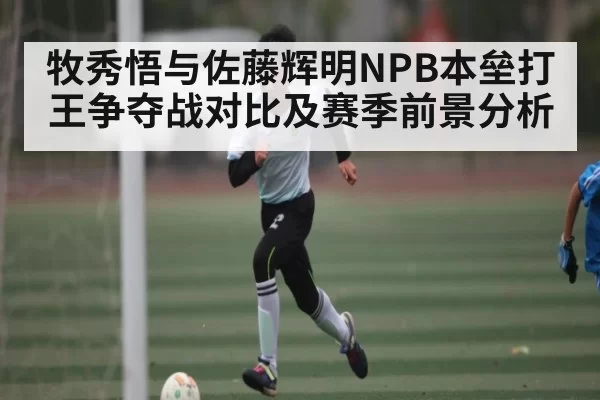 牧秀悟与佐藤辉明NPB本垒打王争夺战对比及赛季前景分析